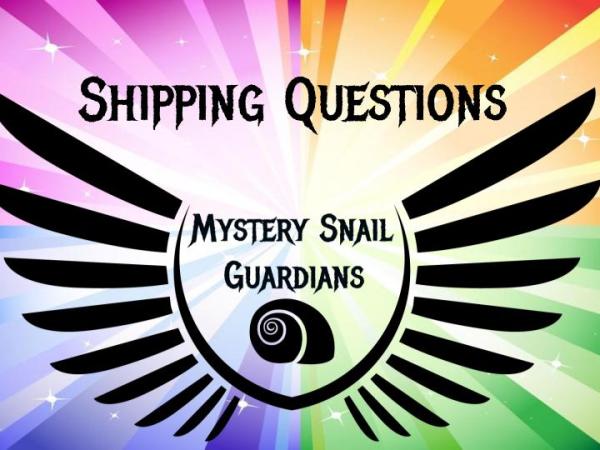 What Questions To Ask Before Purchasing An Aquatic&nbsp;Snail.