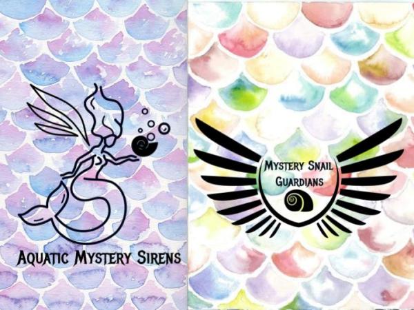 What To Expect From&nbsp;US